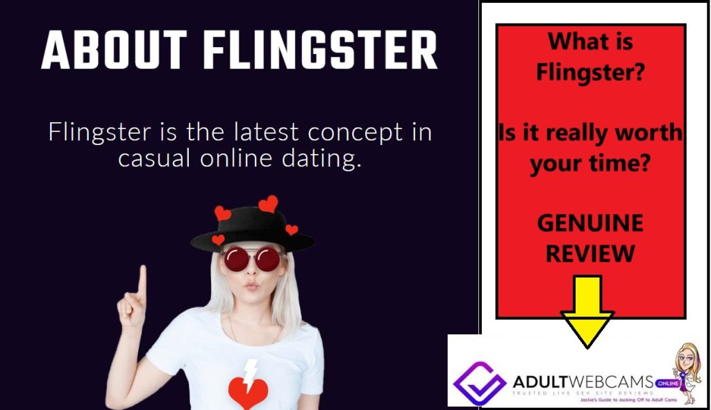 flingster review